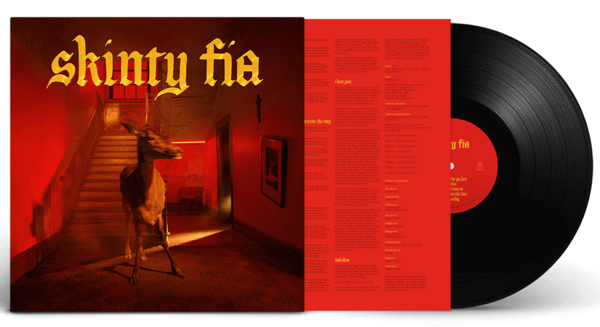Vinyl - Fontaines D.C. : Skinty Fia - The Record Hub