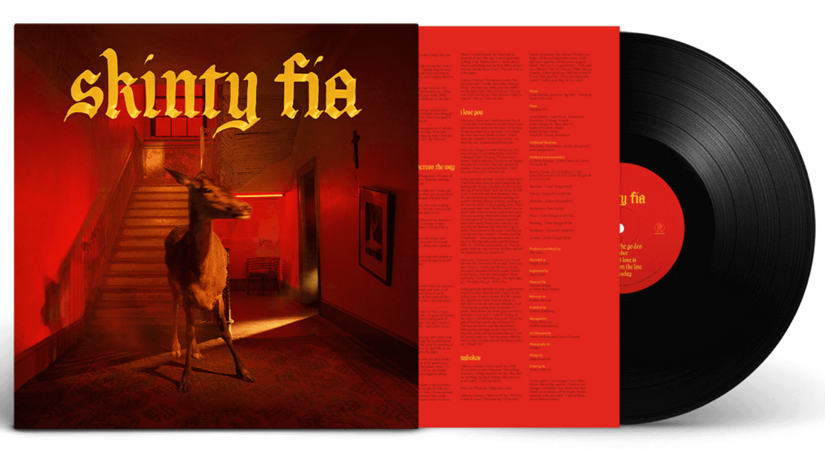 Vinyl - Fontaines DC : Skinty Fia - The Record Hub
