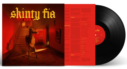 Fontaines D.C. : Skinty Fia