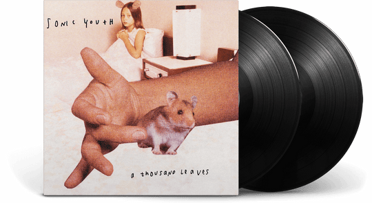 Sonic Youth : A Thousand Leaves
