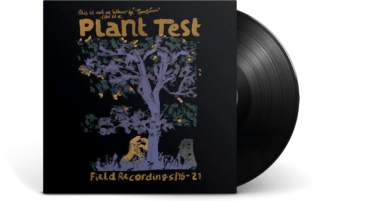 Vinyl - Sports Team : Plan Test - The Record Hub