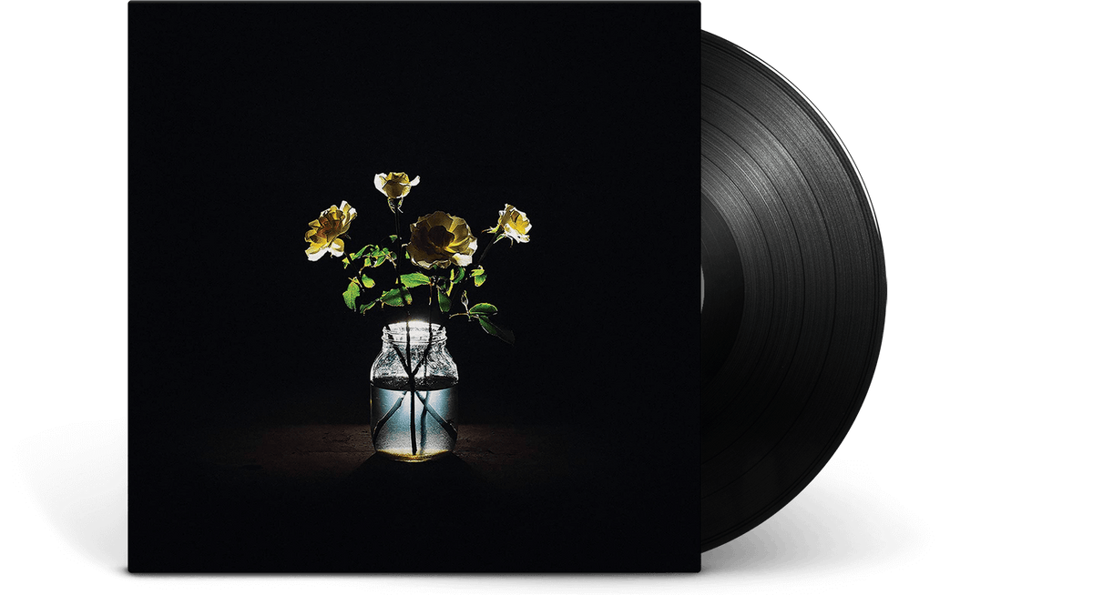 Vinyl - Billy Strings : Renewal - The Record Hub