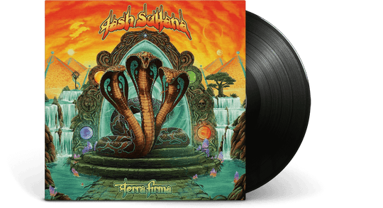 Tash Sultana : Terra Firma