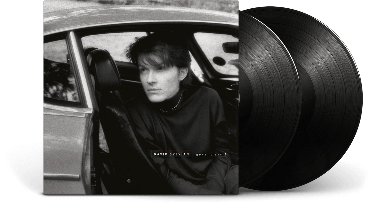 Vinyl - David Sylvian : Gone To Earth - The Record Hub