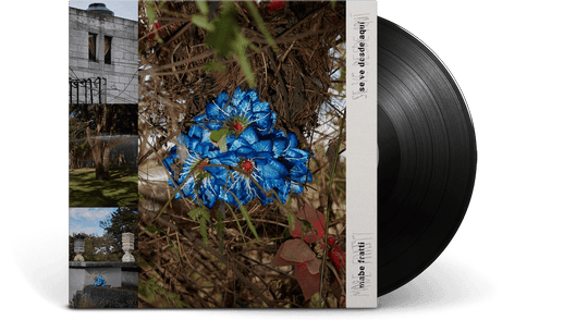 Mabe Fratti : Se Ve Desde Aqui