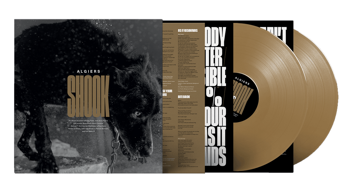 Vinyl - Algiers : Shook (Ltd Gold Vinyl) - The Record Hub
