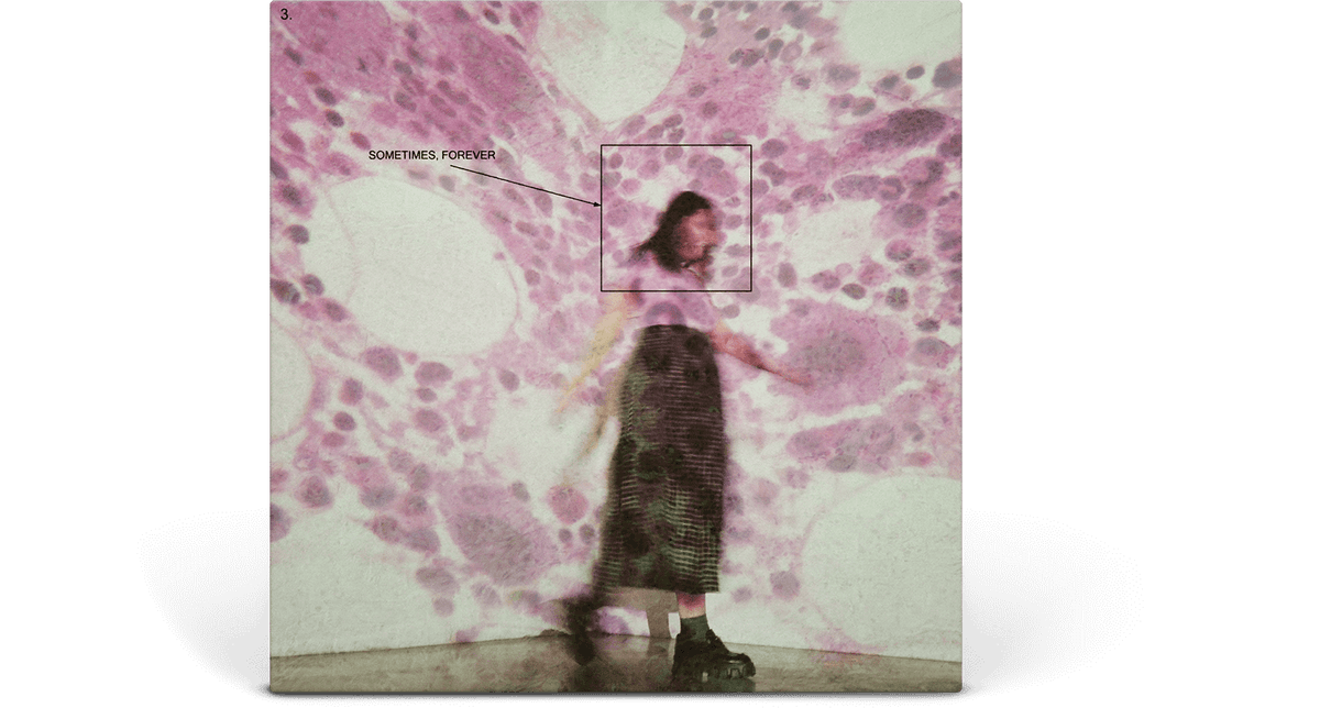 Vinyl - Soccer Mommy : Sometimes, Forever (Ltd Clear Pink Vinyl) - The Record Hub