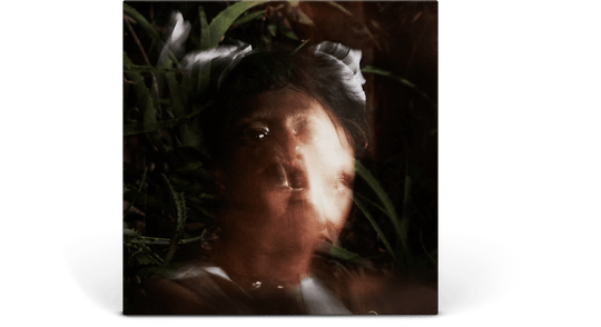 Santigold : Spirituals (Picture Disc)