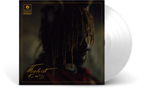 Thundercat : It Is What It is