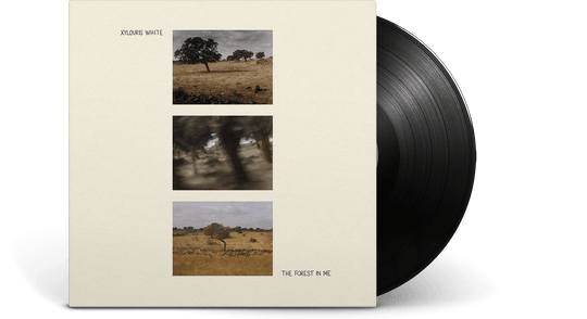 Xylouris White : The Forest in Me