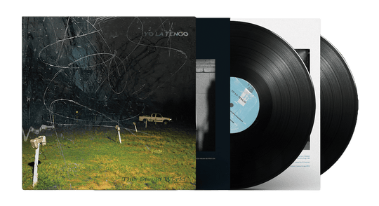 Yo La Tengo : This Stupid World