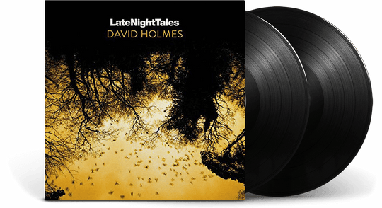 Various Artists : Late Night Tales: David Holmes