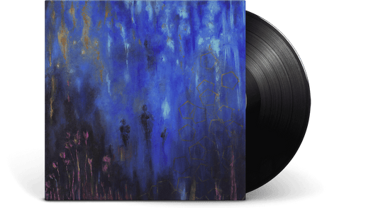 Alfa Mist : Variables