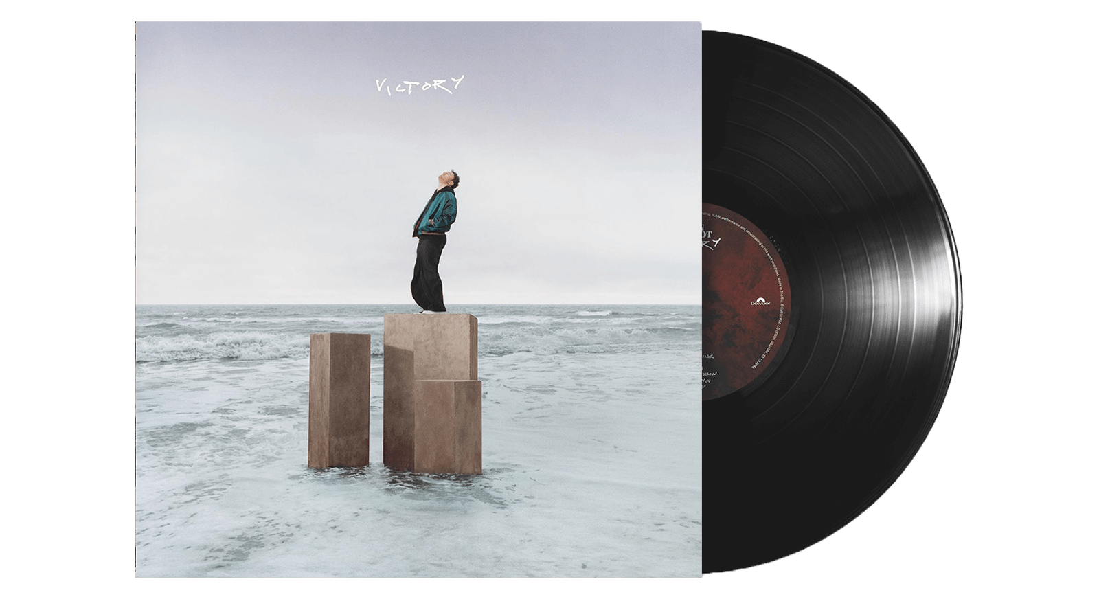 Vinyl - Cian Ducrot : Victory - The Record Hub