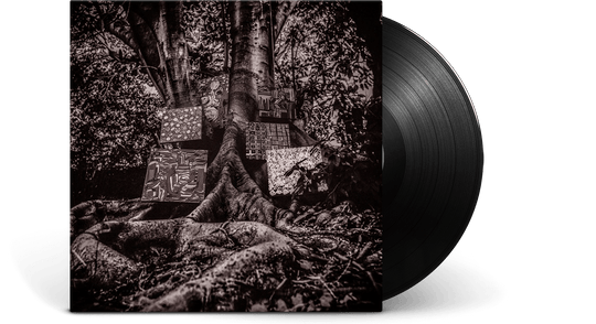 Kamasi Washington : Harmony of Difference