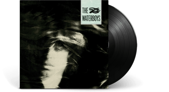 The Waterboys : The Waterboys
