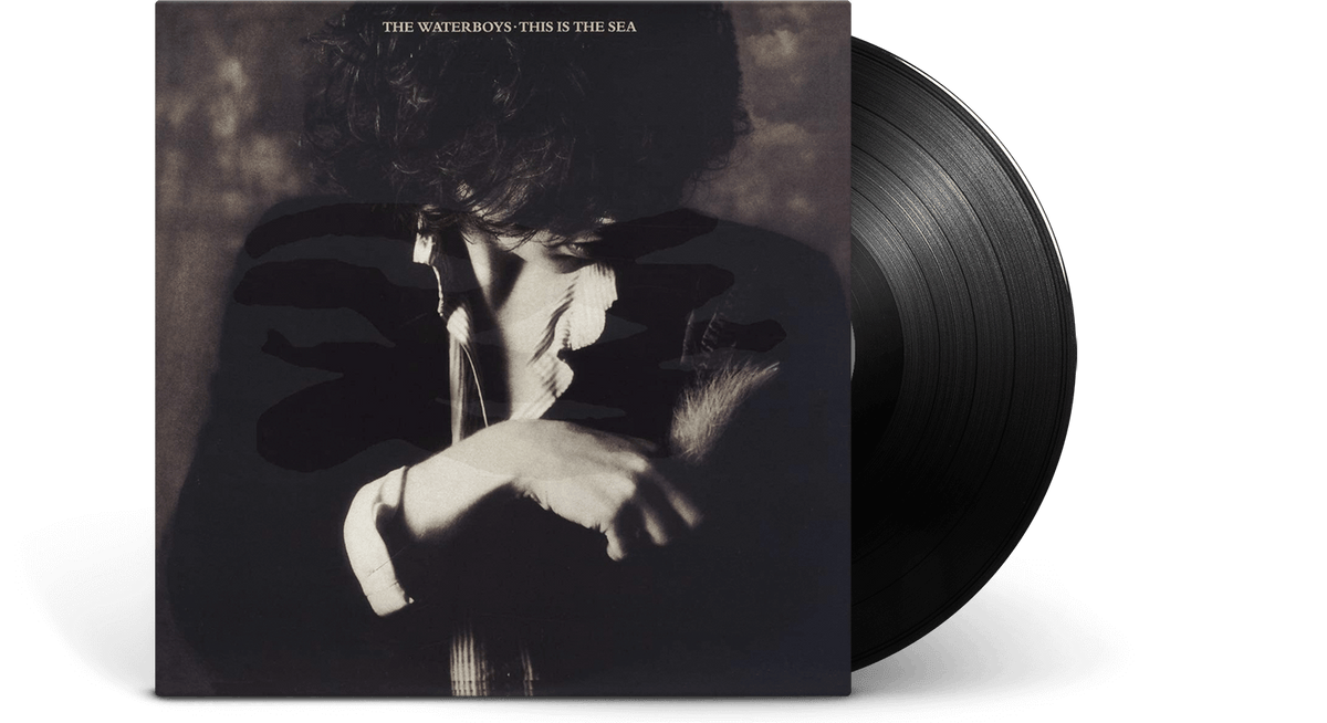 Vinyl - The Waterboys : This Is The Sea - The Record Hub
