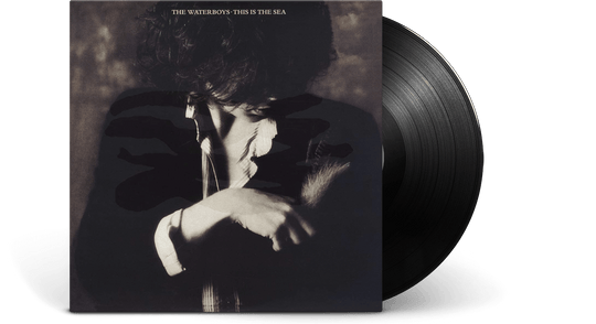 The Waterboys : This Is The Sea