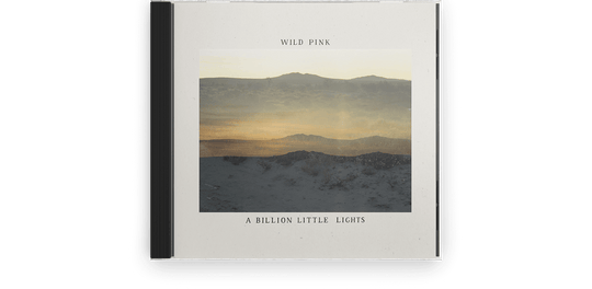 Wild Pink : A Billion Little Lights