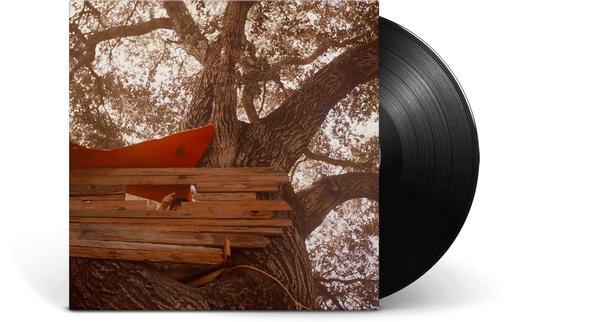 Vinyl - The Backseat Lovers : Waiting to Spill - The Record Hub