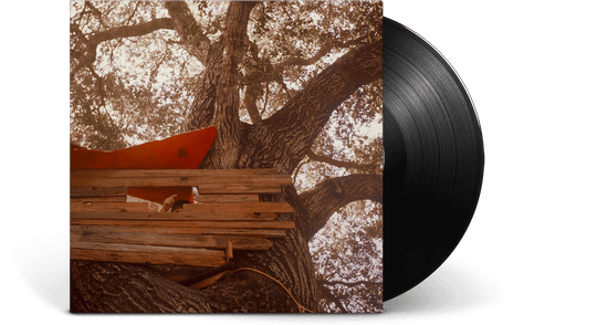 The Backseat Lovers : Waiting to Spill