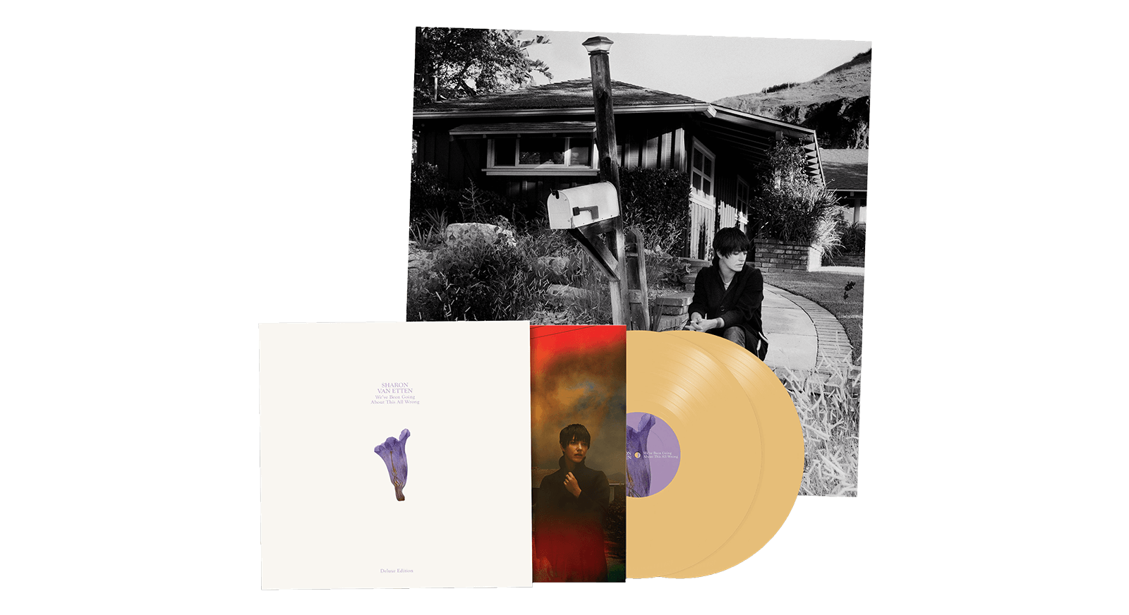 Vinyl - Sharon Van Etten : We've Been Going About This All Wrong (Deluxe Custard Vinyl Edition) - The Record Hub