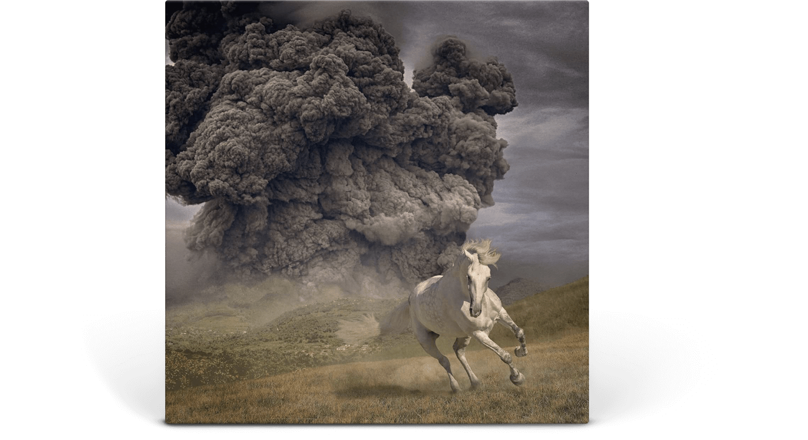 Vinyl - The White Buffalo : Year of the Dark Horse (Opaque Grey Vinyl) - The Record Hub