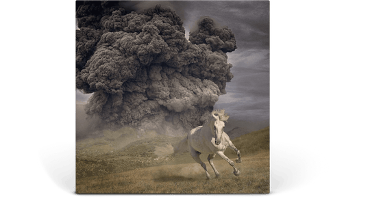 The White Buffalo : Year of the Dark Horse (Opaque Grey Vinyl)