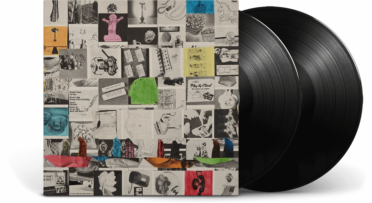 Vinyl - Animal Collective : Time Skiffs - The Record Hub