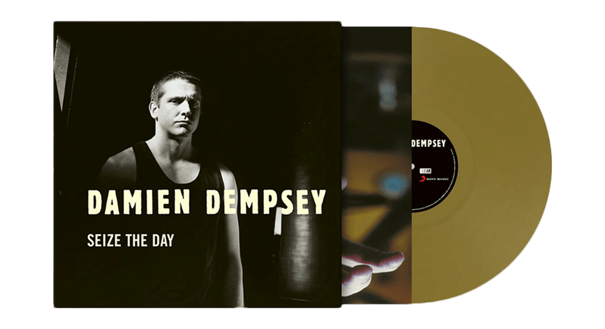Vinyl - Damien Dempsey : Seize The Day (20th Anniversary Opaque Gold Vinyl) - The Record Hub