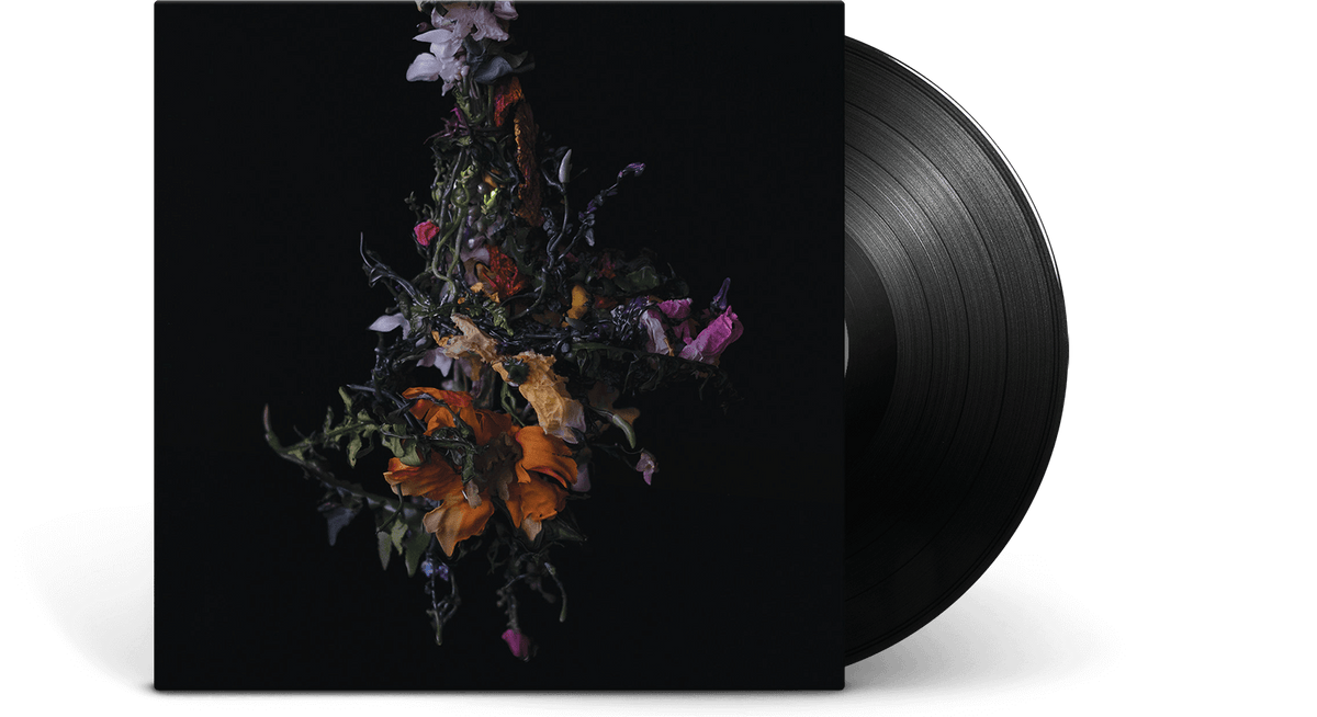 Vinyl - BIG BRAVE : nature morte - The Record Hub