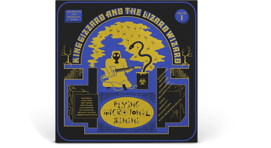 King Gizzard & The Lizard Wizard : Flying Microtonal Banana