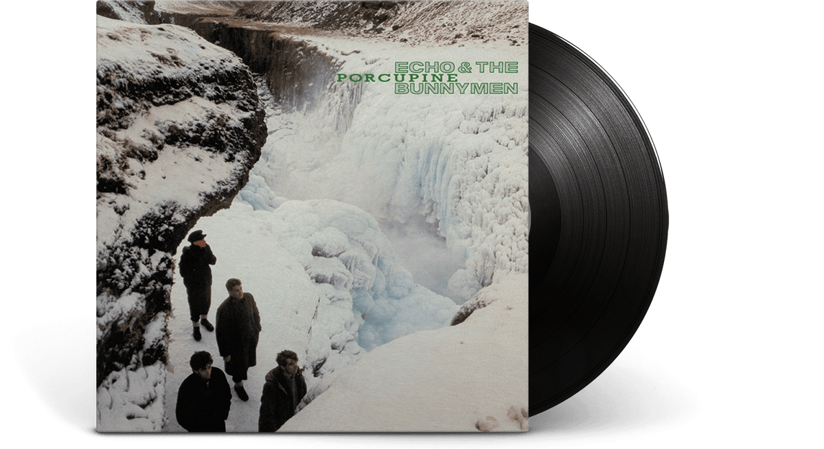 Vinyl - Echo &amp; The Bunnymen : Porcupine - The Record Hub
