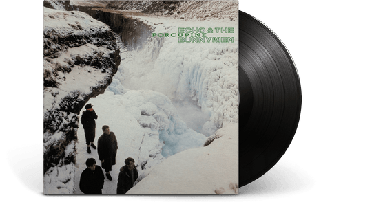 Echo & The Bunnymen : Porcupine