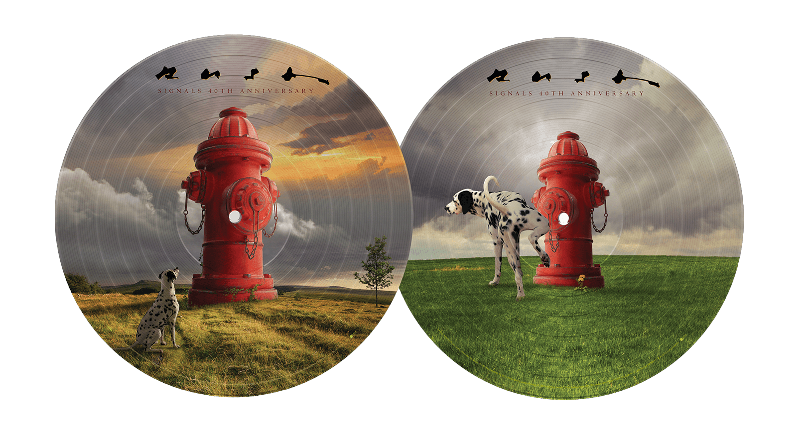 Vinyl - Rush : Signals (40th Anniversary Picture Disc) - The Record Hub