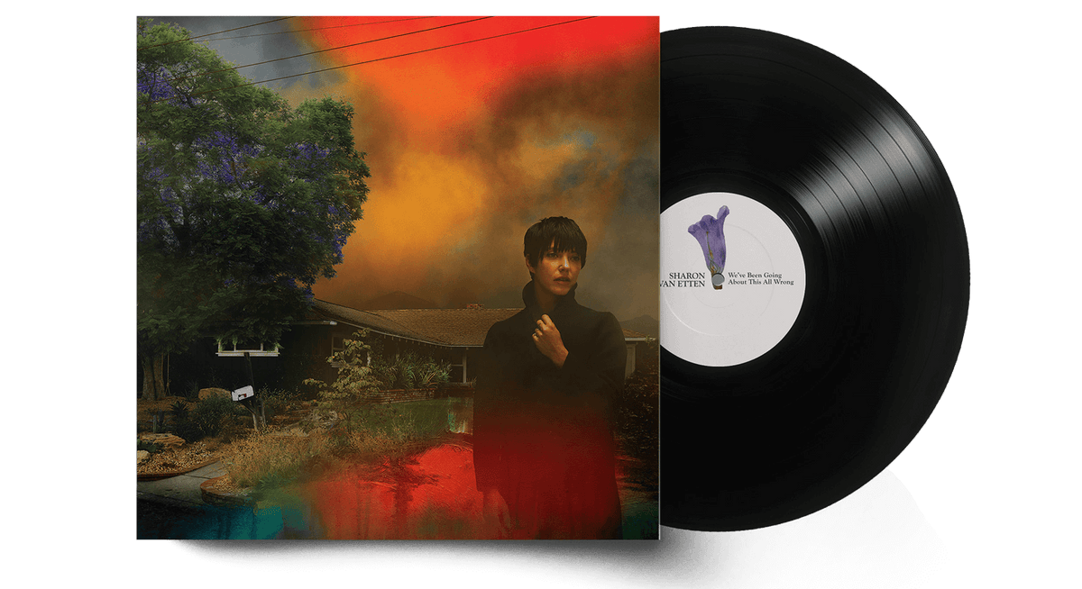Vinyl - Sharon Van Etten : We&#39;ve Been Going About This All Wrong - The Record Hub