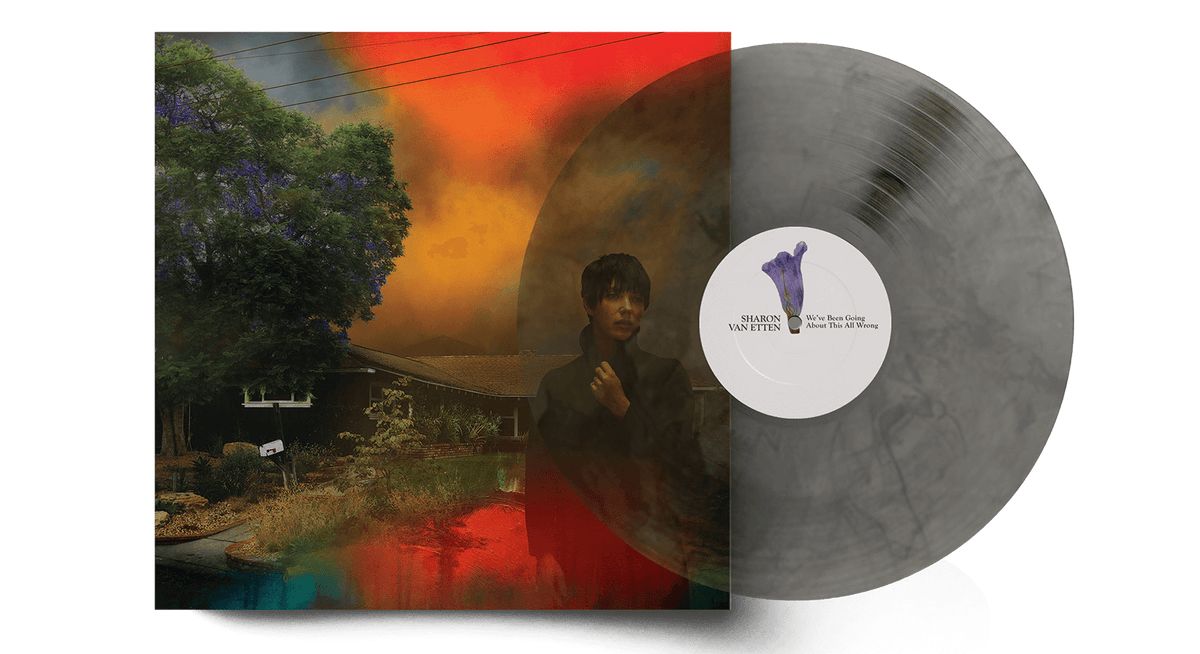 Vinyl - Sharon Van Etten : We&#39;ve Been Going About This All Wrong (Ltd Marble Smoke Vinyl) - The Record Hub