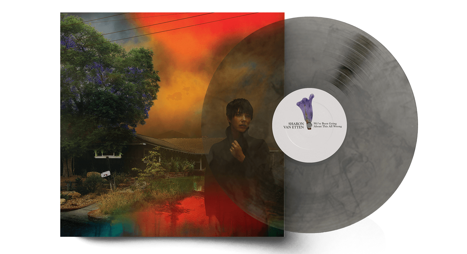 Vinyl - Sharon Van Etten : We've Been Going About This All Wrong (Ltd Marble Smoke Vinyl) - The Record Hub