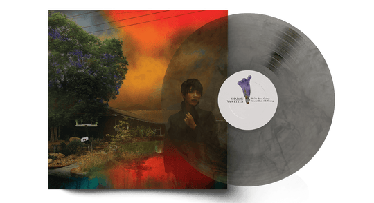 Sharon Van Etten : We've Been Going About This All Wrong (Ltd Marble Smoke Vinyl)